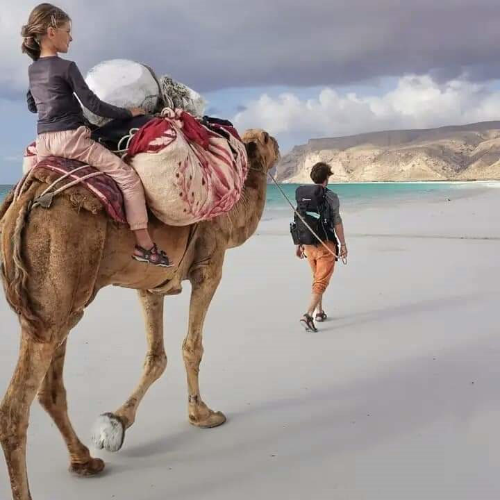 camel2